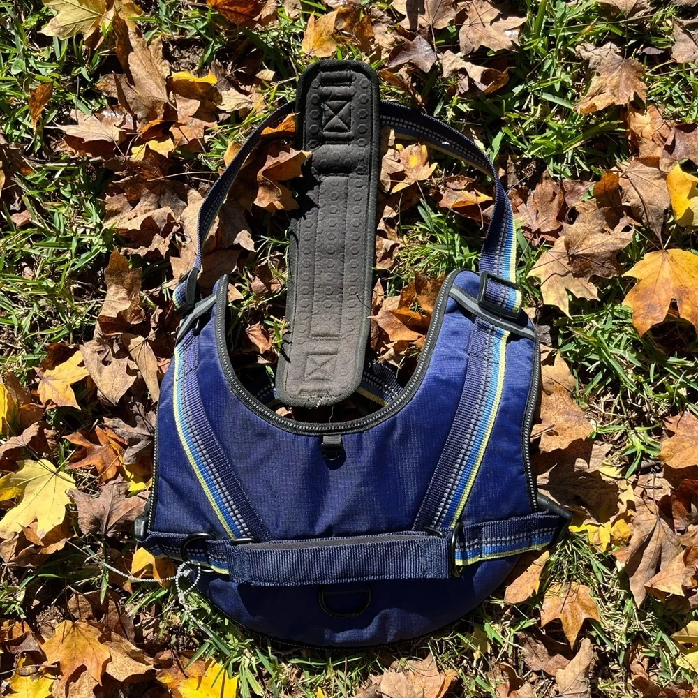 Head brand Blue Dog harness